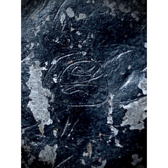 Bia Gae Hum Dtakua Long Rak Thak Luad Hand Spell Inscription Luang Phu Bun Bia Gae Hum Dtakua Long Rak Thak Luad Hand Spell Inscription Luang Phu Bun
